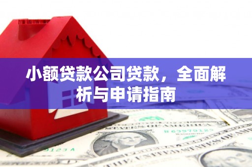 嵩明小额贷款公司贷款，全面解析与申请指南