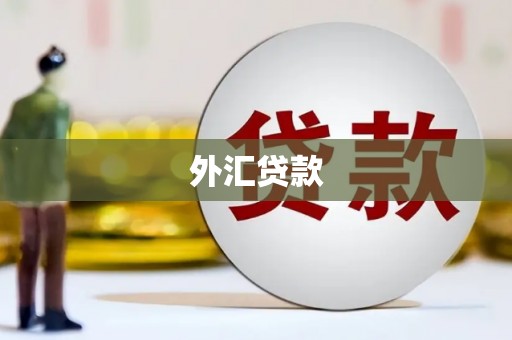嵩明外汇贷款