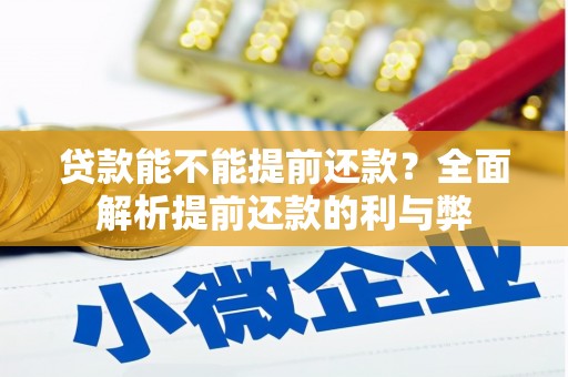 嵩明贷款能不能提前还款？全面解析提前还款的利与弊