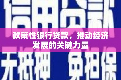 嵩明政策性银行贷款，推动经济发展的关键力量