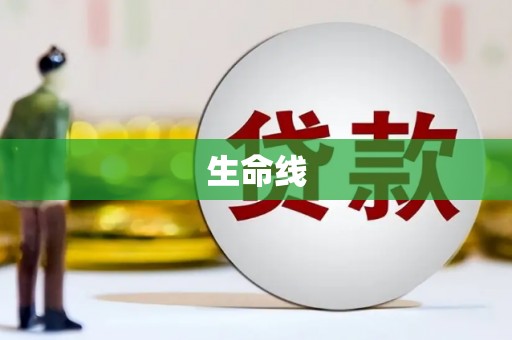 嵩明生命线