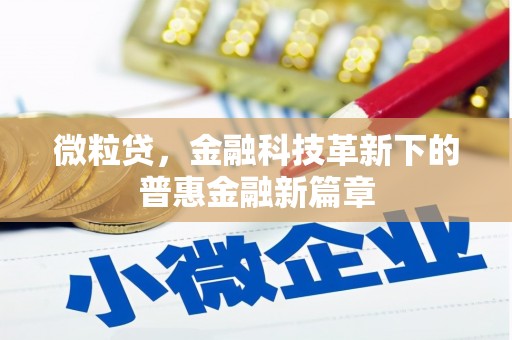 嵩明微粒贷，金融科技革新下的普惠金融新篇章