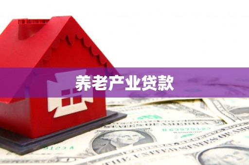 嵩明养老产业贷款