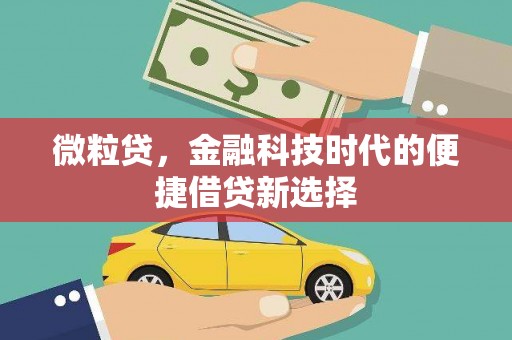 嵩明微粒贷，金融科技时代的便捷借贷新选择