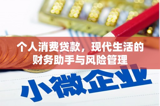 嵩明个人消费贷款，现代生活的财务助手与风险管理