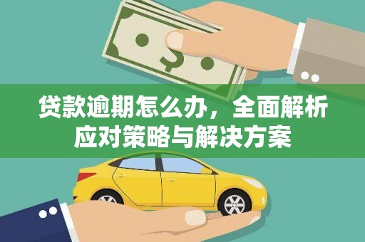 嵩明贷款逾期怎么办，全面解析应对策略与解决方案