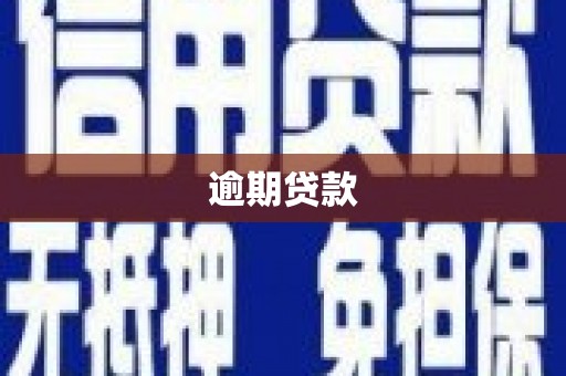 嵩明逾期贷款